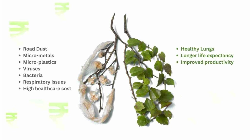 Healthy lungs vs lungs with microplastics picrometals road dust and particulate matter comparison